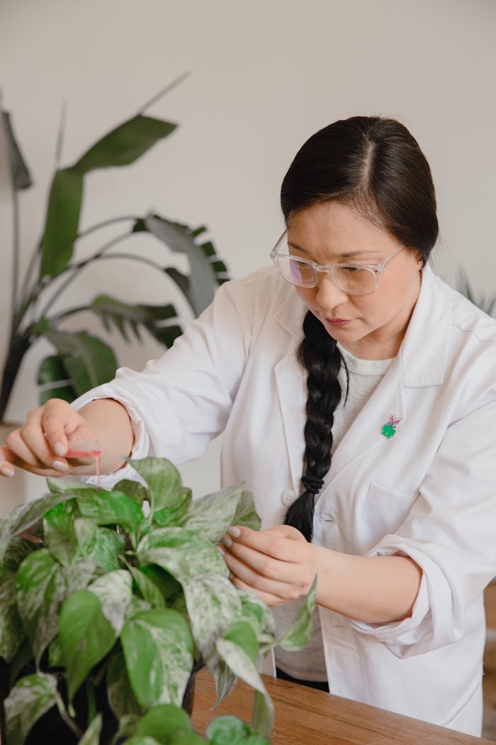 Female scientist examines plants in lab environment, focusing on plant growth.